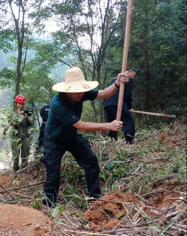 干好每一天|青山挂白我复绿，无私奉献金森人——资源保护部义务突击队工作记实