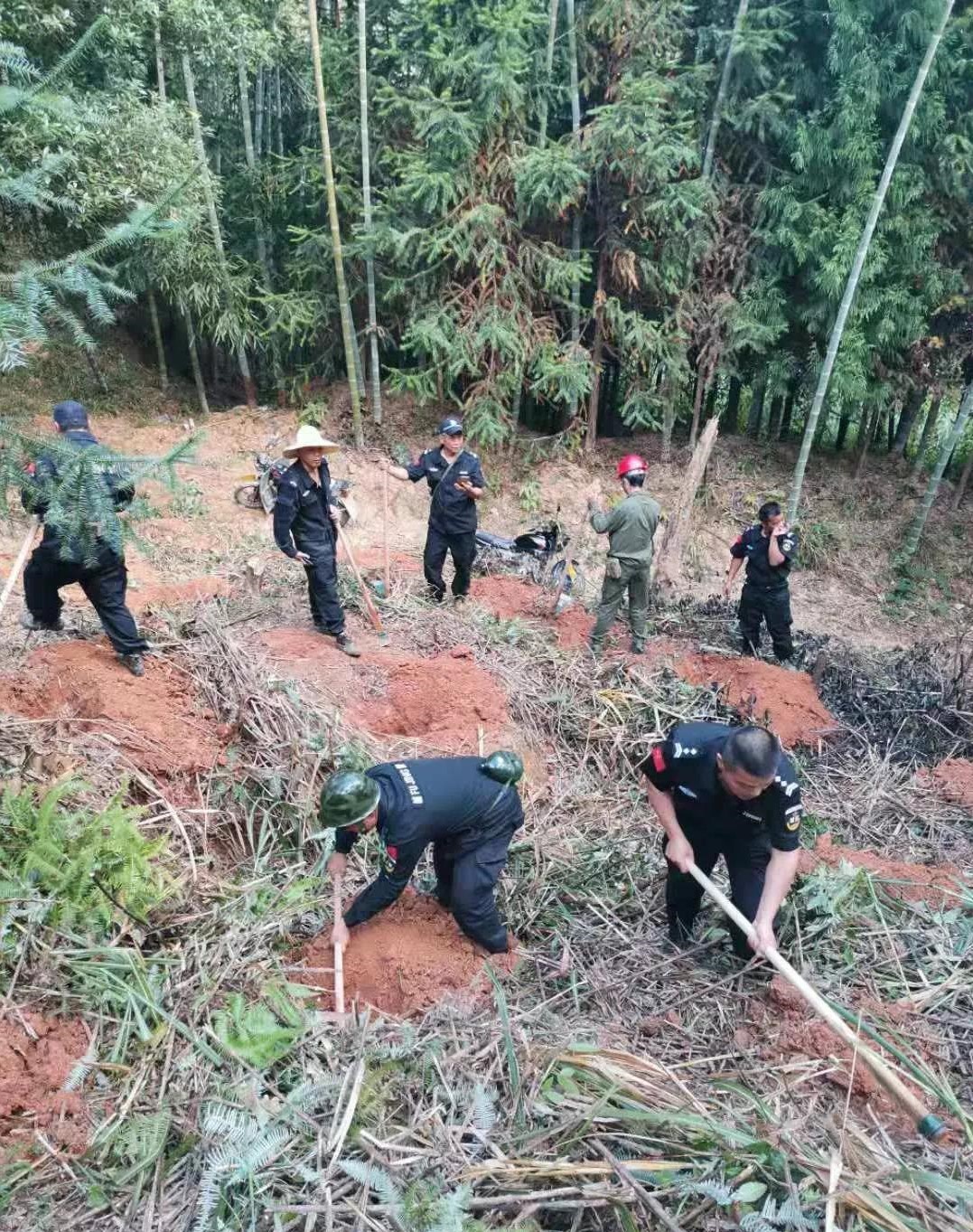 干好每一天|青山挂白我复绿，无私奉献金森人——资源保护部义务突击队工作记实