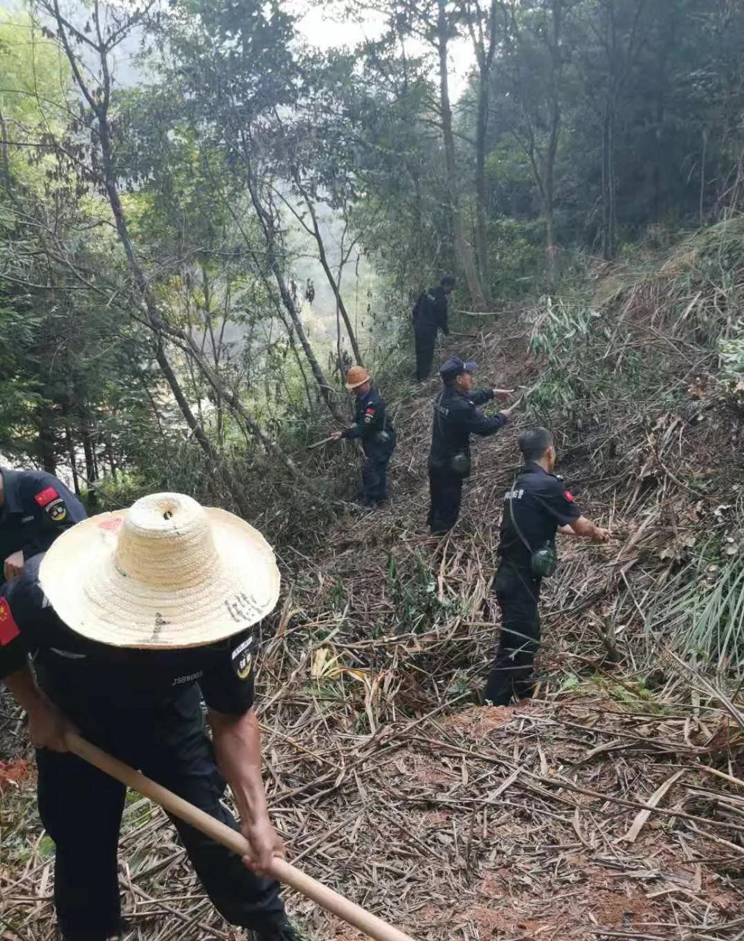 干好每一天|青山挂白我复绿，无私奉献金森人——资源保护部义务突击队工作记实