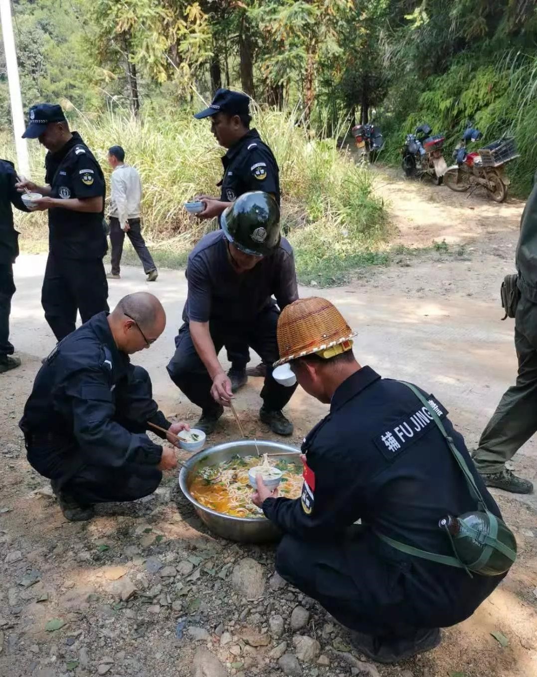 干好每一天|青山挂白我复绿，无私奉献金森人——资源保护部义务突击队工作记实