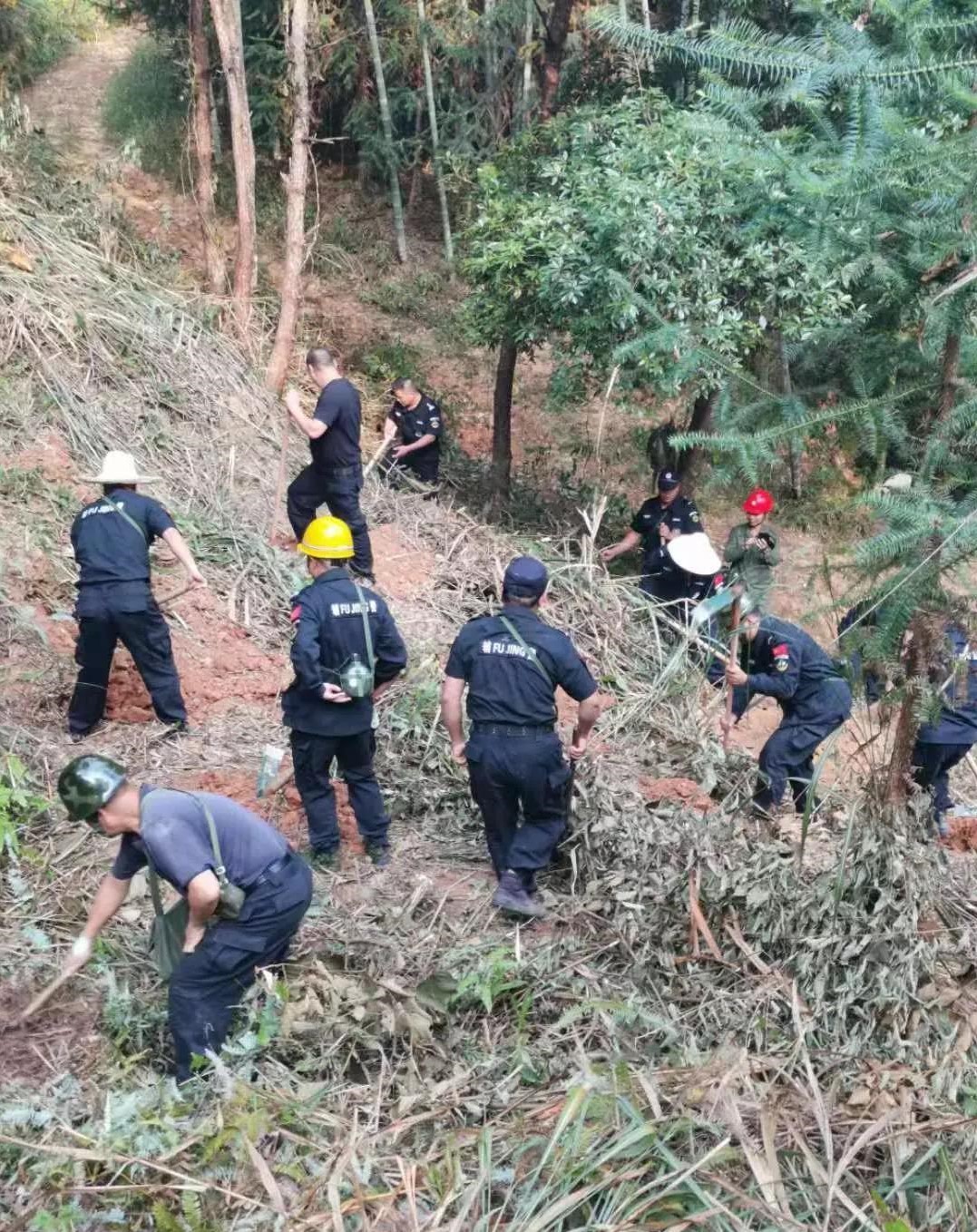 干好每一天|青山挂白我复绿，无私奉献金森人——资源保护部义务突击队工作记实