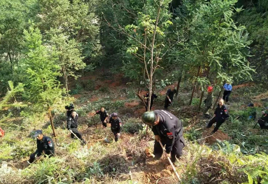 干好每一天|青山挂白我复绿，无私奉献金森人——资源保护部义务突击队工作记实