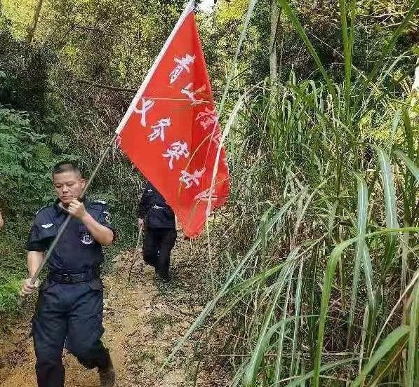 干好每一天|青山挂白我复绿，无私奉献金森人——资源保护部义务突击队工作记实