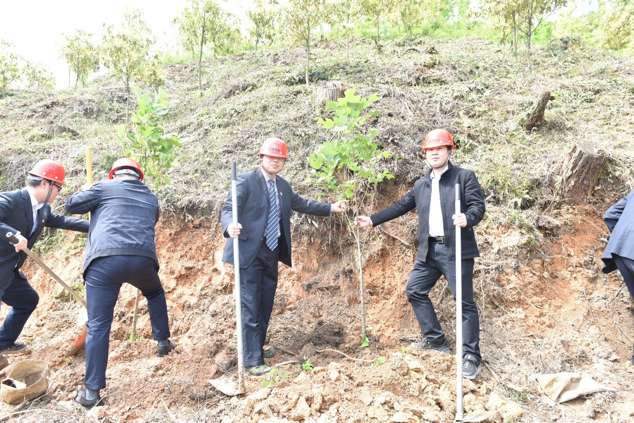 “守护绿水青山，共助乡村振兴” ——农发行沙县支行与福建金森党总支开展共建活动