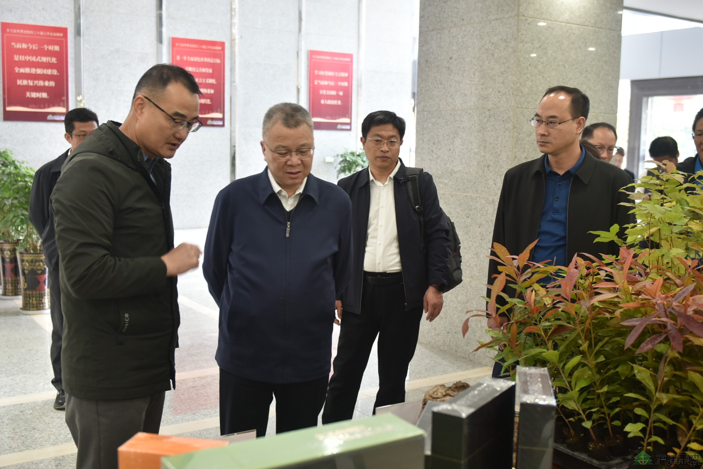 南京林业大学至福建金森调研 南京林业大学至福建金森调研